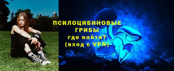 гидра Лагань