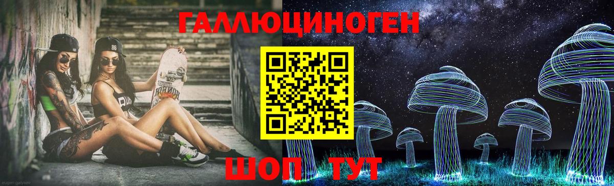 Галлюциногенные грибы Magic Shrooms  Новоалтайск  Псилоцибиновые грибы прущие грибы 