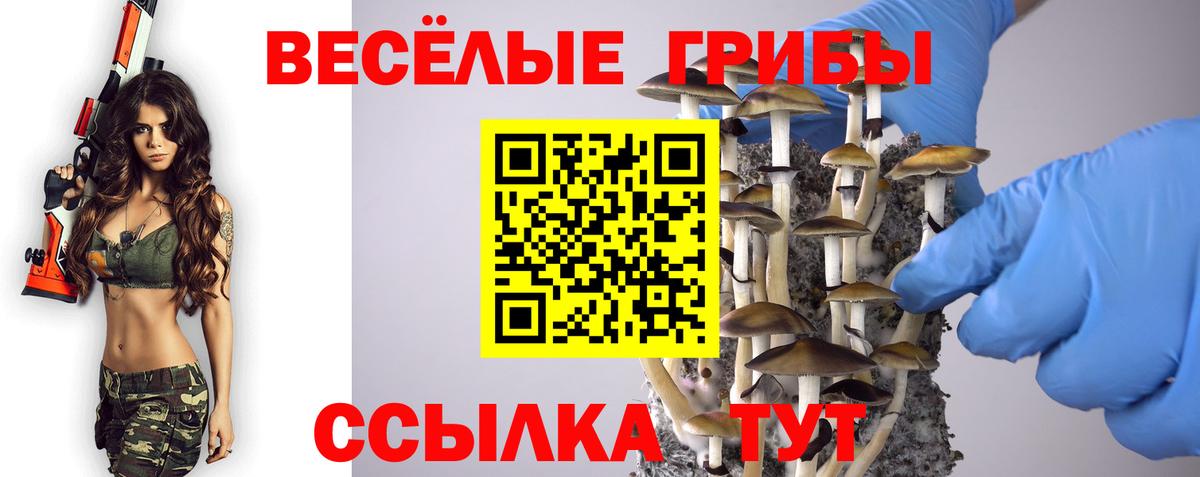 Галлюциногенные грибы прущие грибы  Вход с VPN  Новоалтайск 